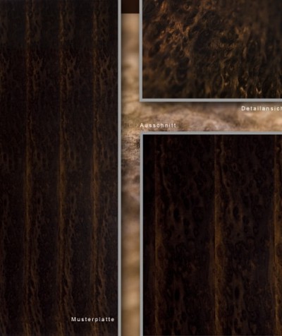 烟熏尤加利树瘤