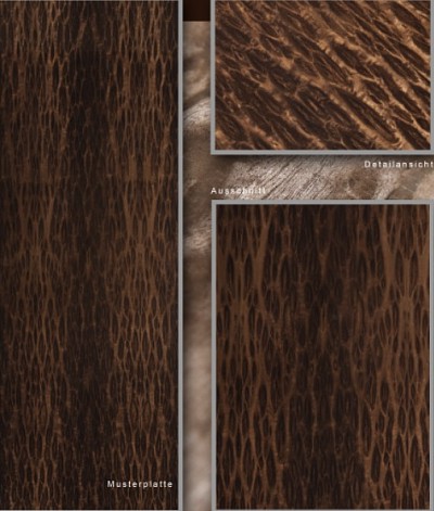 烟熏球纹尤加利